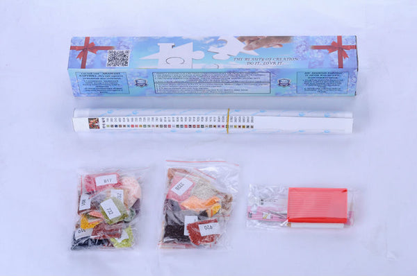 Elsa Ana and Olaf DIY Diamond Beads Embroidery Kit